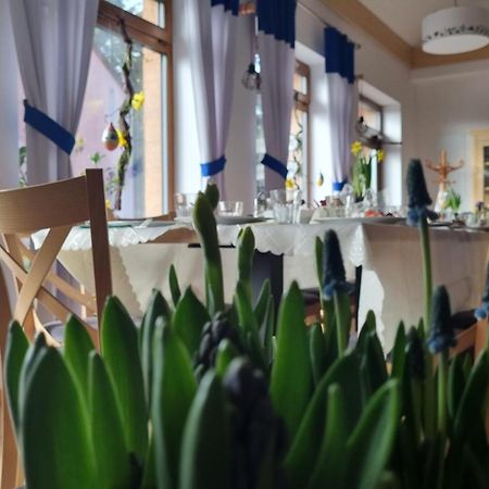 Apartmán Zakatek Reja Kartuzy Exteriér fotografie